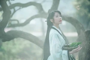 YiTuYu Art Language Vol.4667: Mu Jing Shu in a Masterpiece of Light - image 8