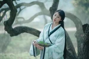 YiTuYu Art Language Vol.4667: Mu Jing Shu in a Masterpiece of Light - image 1