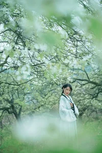 YiTuYu Art Language Vol.4667: Mu Jing Shu in a Masterpiece of Light - image 9