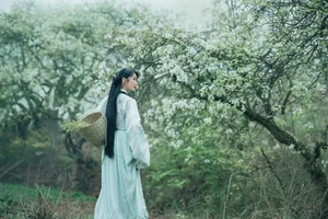 YiTuYu Art Language Vol.4667: Mu Jing Shu in a Masterpiece of Light - image 23