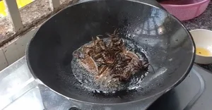 The 5 Million VND Mud Delicacy: Why the Wealthy Love This Rare Treat - image 4