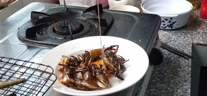 The 5 Million VND Mud Delicacy: Why the Wealthy Love This Rare Treat - image 0