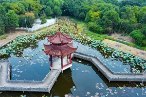 Ancient Cooling Technology: How Our Ancestors Beat the Heat Without Electricity - image 2