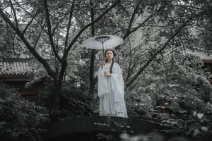 YiTuYu Art Language Vol.5138: Timeless Grace Featuring Cheng Qian Jin - image 1