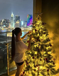 Stunning Vietnamese WAGs Celebrate Christmas: A Glimpse into Their Festive Holiday Style and Glamorous Decorations - image 4