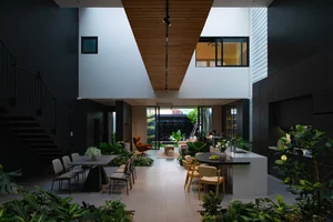 Nguyen's House: A 210m2 Masterpiece of Light and Modern Architecture - image 6