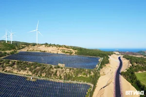 The 100 Billion VND Road: A Scenic Journey Through Vietnam's Coastal Dunes - image 4