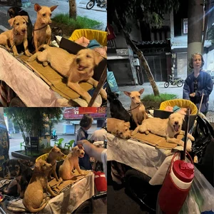 Trending on Social Media: Hanoi Balcony Demolition and the Viral Gold Subdivision Photo - image 8