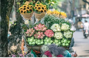 The Enchanting Charm of Autumn in Northern Vietnam - image 1
