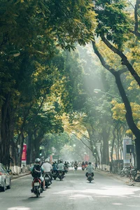 The Enchanting Charm of Autumn in Northern Vietnam - image 2