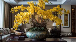Discover the Goldfish Plant – A luxurious and unique ornamental gem bringing luck and prosperity to your home. - image 2