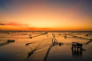 Chasing the Ethereal Sunrise at Tam Giang Lagoon in Central Vietnam - image 7