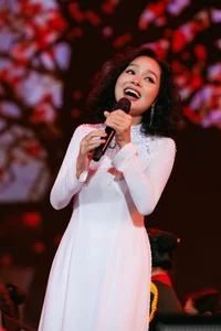 Vietnam Idol 2012 Top 4: Where Are They Now? From International Fame to Quiet Lives - image 2