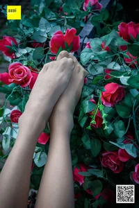 Wanping in IESS Sixiangjia 161 Rose and Silk: Timeless Romanticism - image 5