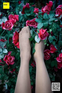 Wanping in IESS Sixiangjia 161 Rose and Silk: Timeless Romanticism - image 68