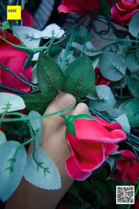 Wanping in IESS Sixiangjia 161 Rose and Silk: Timeless Romanticism - image 61