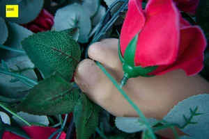 Wanping in IESS Sixiangjia 161 Rose and Silk: Timeless Romanticism - image 14