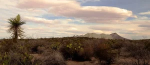 Unexplained Mystery: The Silent Zone Linked to Extraterrestrial Activity - image 3