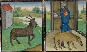 Weird History: The Bizarre World of Medieval Animal Trials - image 1