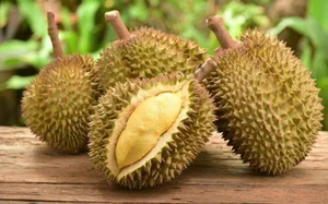 Lunar New Year Taboos: Essential Foods to Avoid for a Prosperous and Lucky Year - image 3