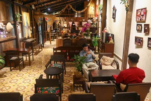 Mekong Delta Nostalgia: A Traditional Western House Cafe in Ho Chi Minh City - image 8