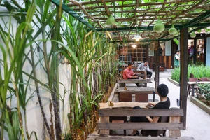 Mekong Delta Nostalgia: A Traditional Western House Cafe in Ho Chi Minh City - image 3