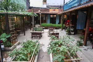 Mekong Delta Nostalgia: A Traditional Western House Cafe in Ho Chi Minh City - image 5