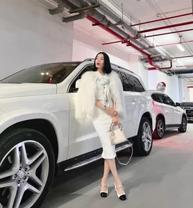 A Closer Look at the Immense Wealth and Luxury Lifestyle of Singer Le Quyen - image 5