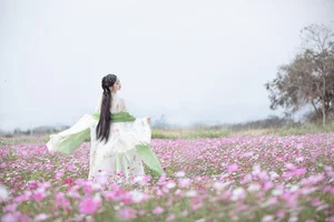 Visual Storytelling in YiTuYu Art Language Vol.6393 Jin Zou Ba - image 6
