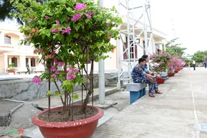 Building a Home in the Middle of the Sea: The Resilient Families of Truong Sa Islands - image 7