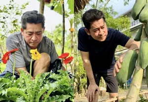 Actor Huynh Anh Tuan Finds Peace in Stunning 6000m2 Garden Estate - image 2