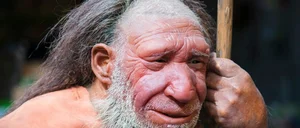 Did Neanderthals Speak Before Modern Humans? Rewriting the History of Language - image 4