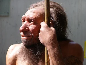 Did Neanderthals Speak Before Modern Humans? Rewriting the History of Language - image 0