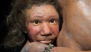 Did Neanderthals Speak Before Modern Humans? Rewriting the History of Language - image 2