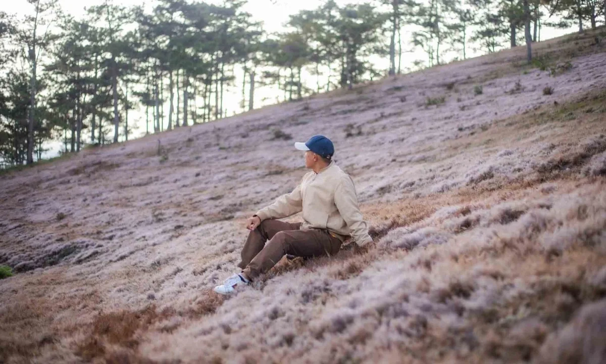 Magical Pink Grass Season in Da Lat: A Dreamy Autumn Destination