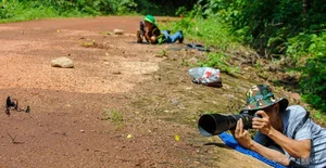 Nature's Beauty: Butterfly Hunting in Ma Da Forest, Vietnam - image 0