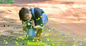 Nature's Beauty: Butterfly Hunting in Ma Da Forest, Vietnam - image 1