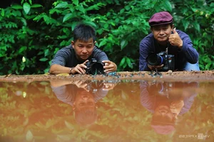 Nature's Beauty: Butterfly Hunting in Ma Da Forest, Vietnam - image 9