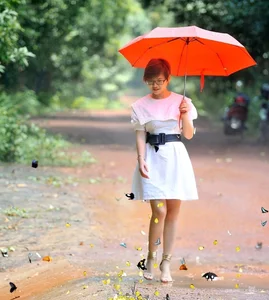 Nature's Beauty: Butterfly Hunting in Ma Da Forest, Vietnam - image 7