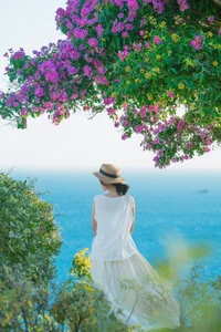 Experience the Stunning Purple Bloom of Giant Crape Myrtles at Mui Dinh This Summer - image 9