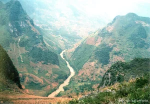 A 20-Year Journey: The Legend of the Ha Giang 'Dream' Backpacker - image 0
