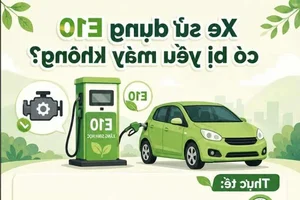 E10 Biofuel Pocket Guide: Essential Tips for Modern Vehicle Owners - image 6