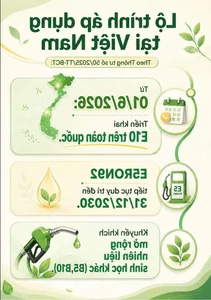 E10 Biofuel Pocket Guide: Essential Tips for Modern Vehicle Owners - image 16