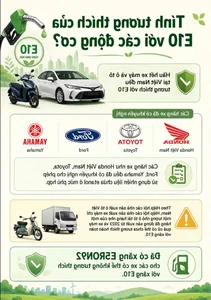 E10 Biofuel Pocket Guide: Essential Tips for Modern Vehicle Owners - image 2