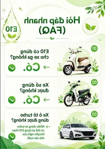 E10 Biofuel Pocket Guide: Essential Tips for Modern Vehicle Owners - image 3