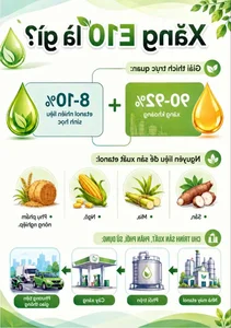 E10 Biofuel Pocket Guide: Essential Tips for Modern Vehicle Owners - image 10