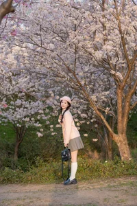 Exploring the Visual Narrative of YiTuYu Art Language Vol.6697 Cheng Zi Shu - image 10