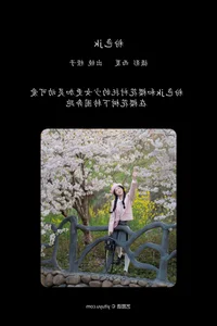 Exploring the Visual Narrative of YiTuYu Art Language Vol.6697 Cheng Zi Shu - image 7