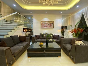 Inside the Impressive Multi-Million Dollar Fortune of Singer Quang Ha - image 2