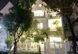 Inside the Impressive Multi-Million Dollar Fortune of Singer Quang Ha - image 4